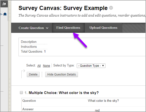 survey canvas page
