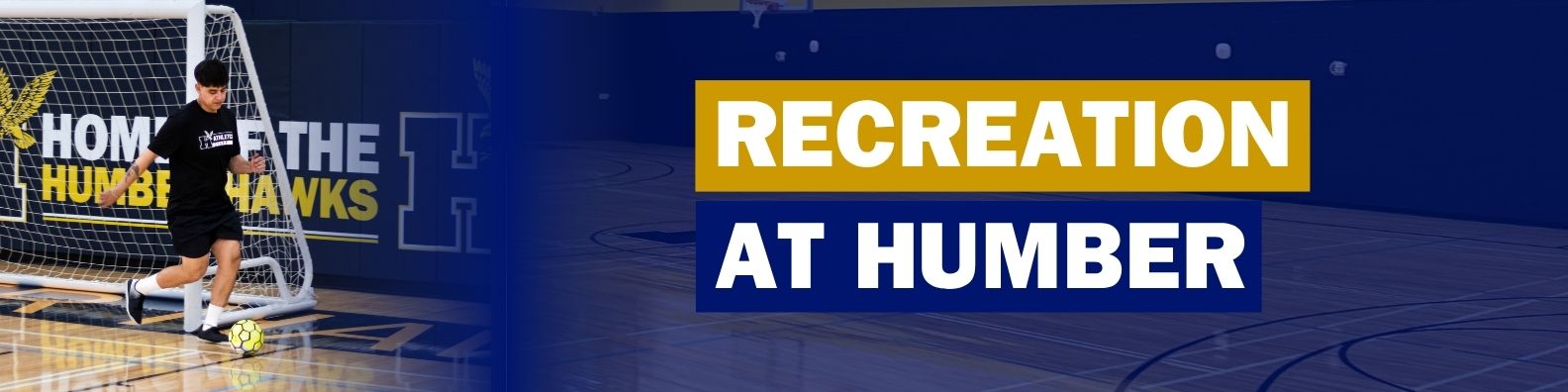 Humber Recreation Banner