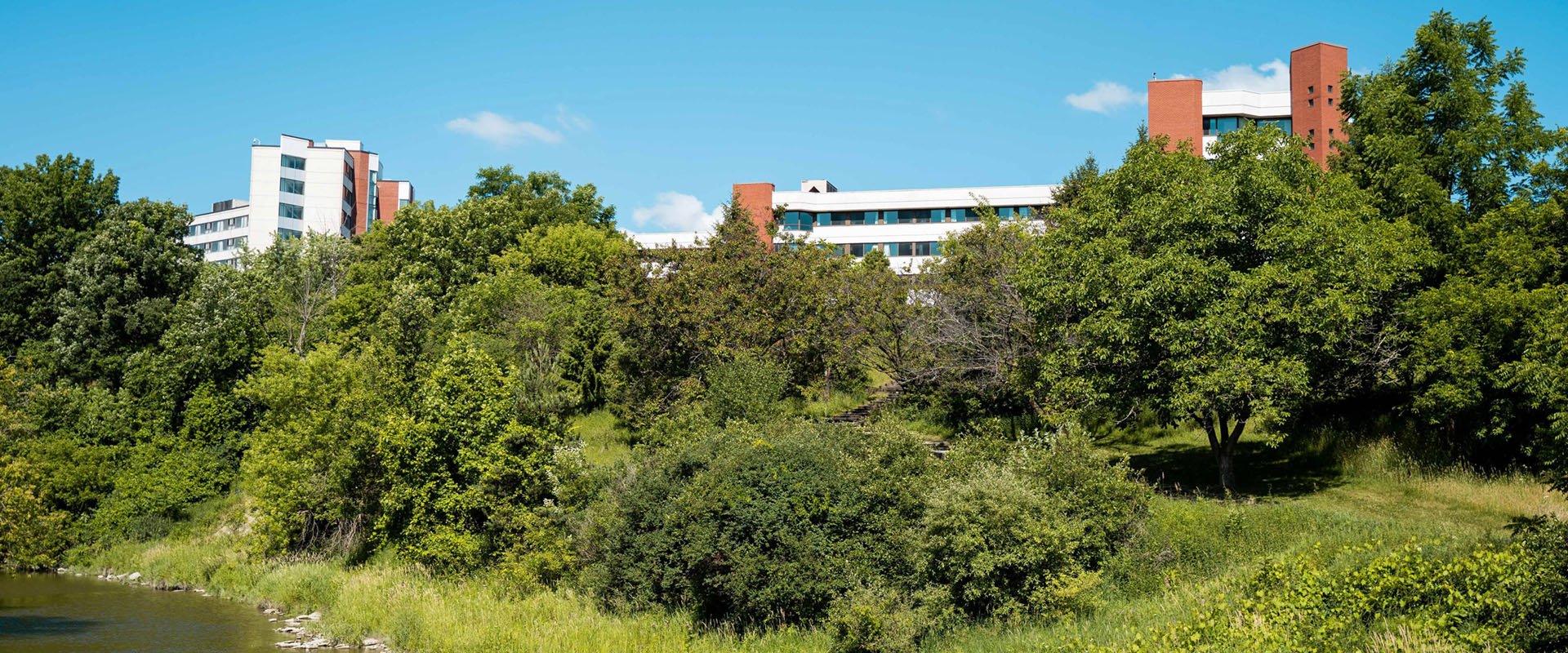 View of Humber's North Residence from the Arboretum