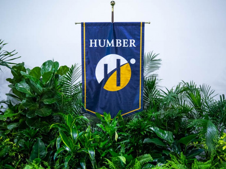 Humber flag among plants