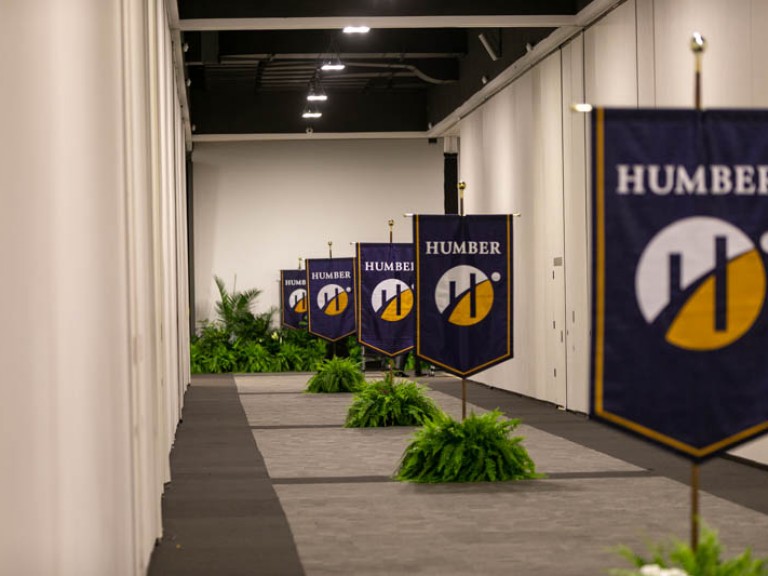 Row of Humber flags, each with a fern at the base