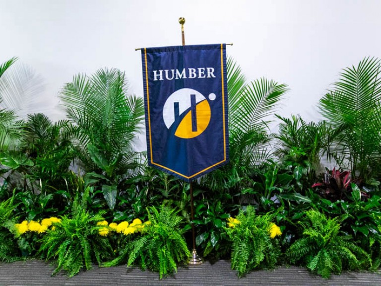 Humber flag among plants