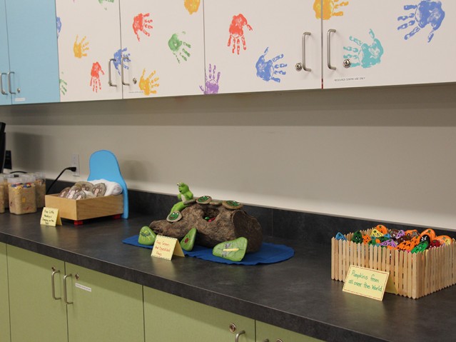 Close up of Pumpkins from all over the world