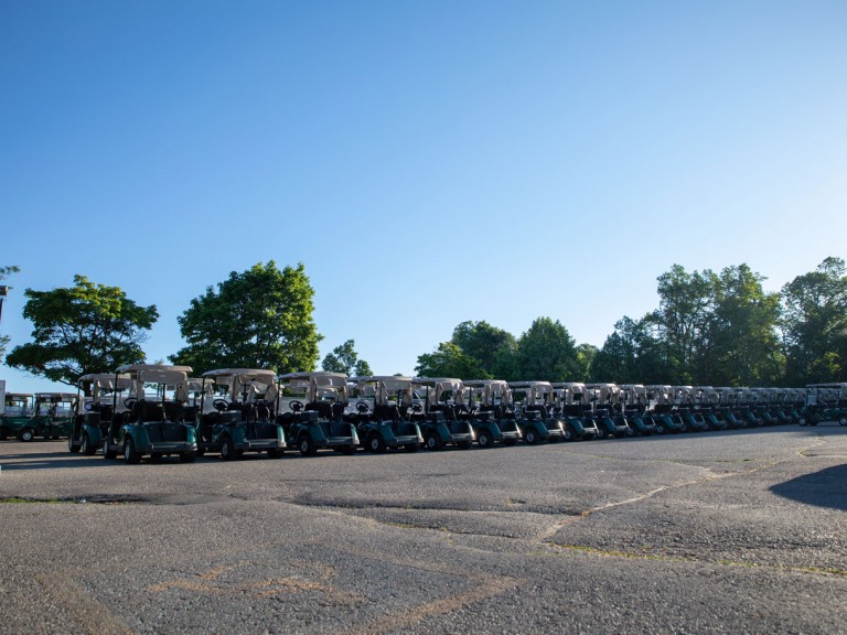 Rows of golf carts in lot on sunny day