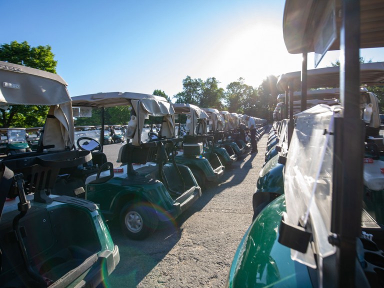 Person between rows of golf carts