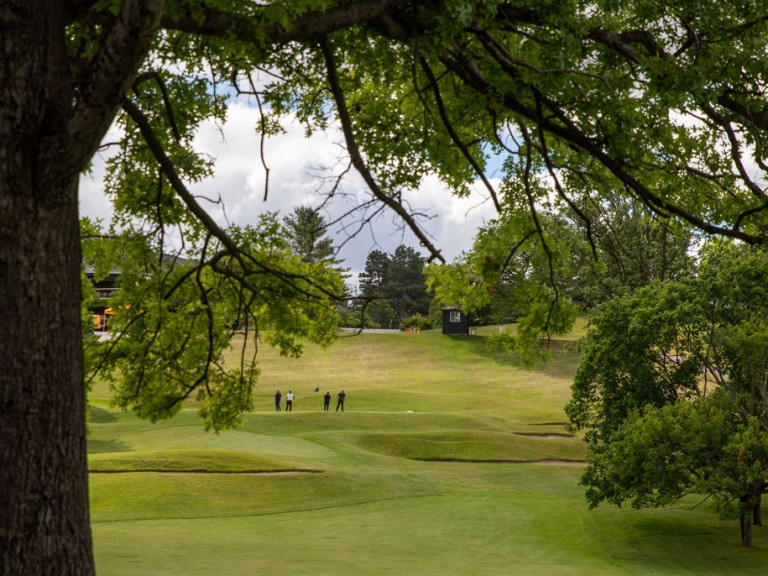 Four people in the distance on the golf course