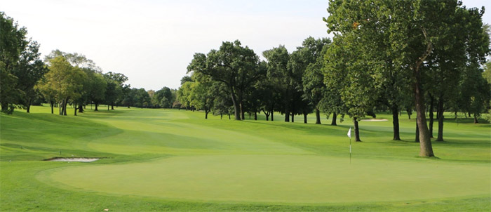 golf course 2