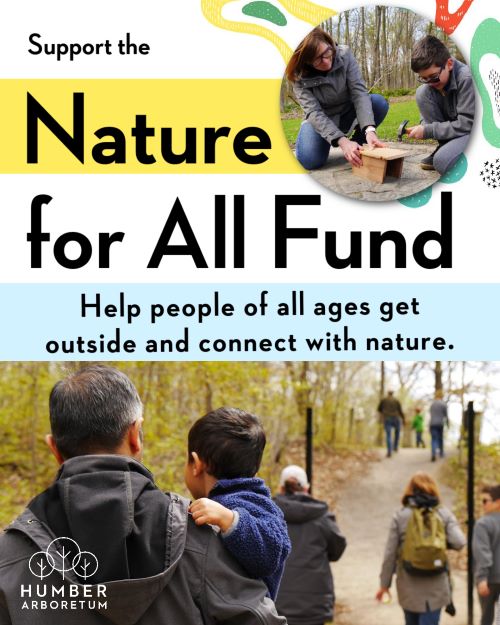 A graphic shows images of an adult and child buildng a bird box together and a person carrying a toddler on a nature walk. Support the Nature for All Fund. Help people of all ages get outside and connect with nature.
