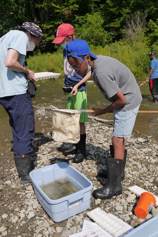 Standing on a small landing of rocks in the Humber River, a Junior Naturalist looks down into his net to see what creatures he has scooped out of the water.