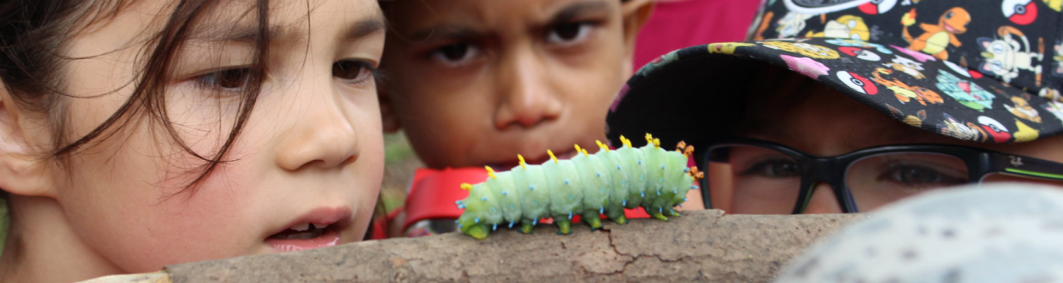 Campers watch intently as a large caterpillar crawls along a stick