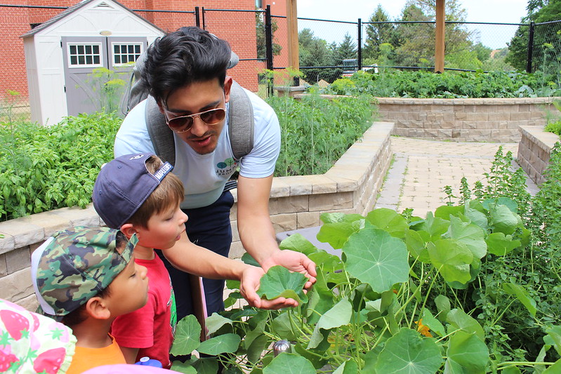 A camp leader shows children fresh veggies growing in the Humber Food Learning Garden