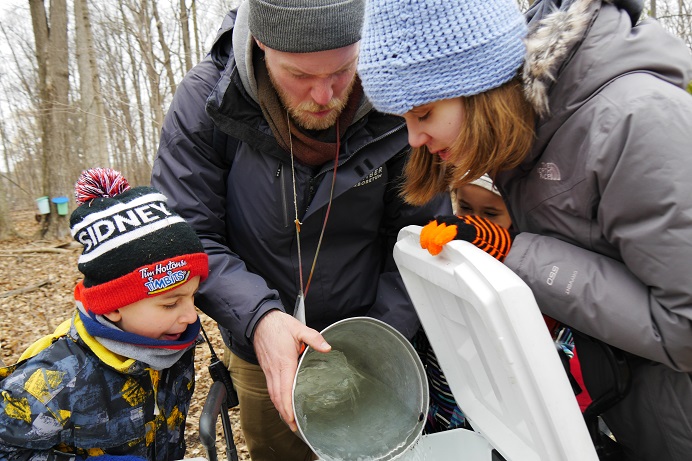 A man pours maple sap from a collection bucket into a cooler while two children watch