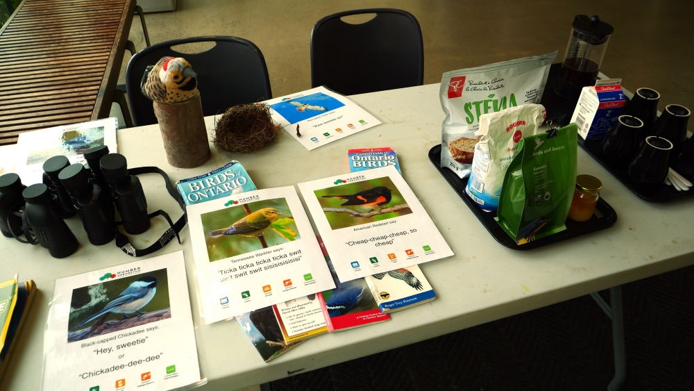 A table display with binoculars, educational bird materials, and coffe 