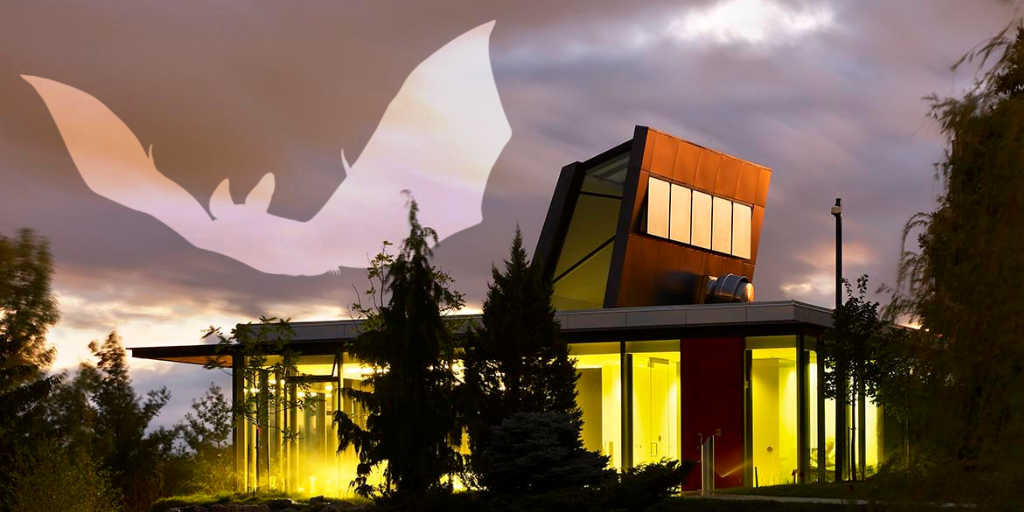 A graphic silhouette of a bat flying over the Centre for Urban Ecology at night