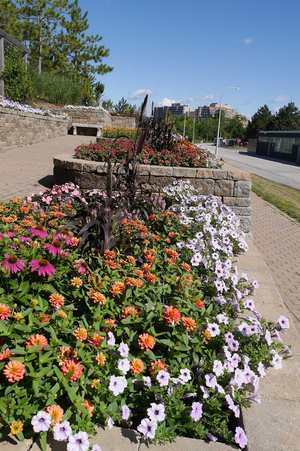 A garden wall bed spills over with a variety of colourful blooms.