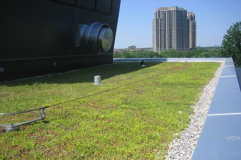 green roof & rainwater