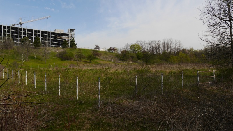 A large meadow stretches out with an under construction building in the background