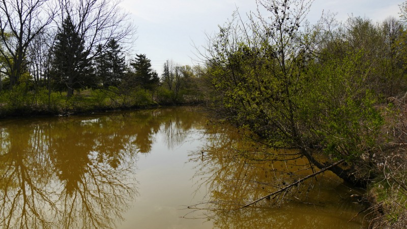 pond murky water sediment humber brown often currently before