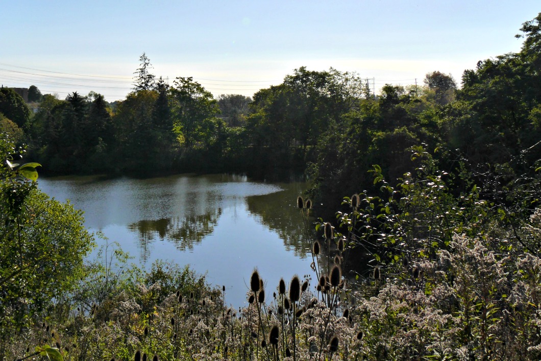 The Humber Pond
