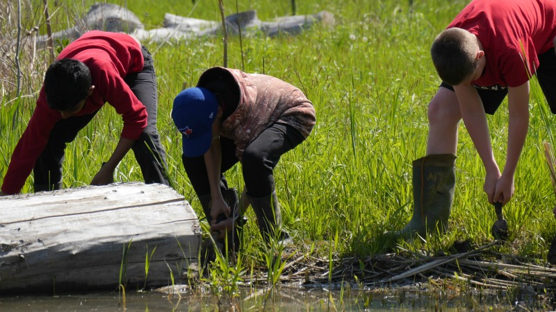 Students assist in a wetland planting