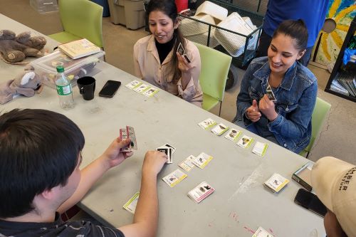 Students play a card game at a table in the Centre for Urban Ecology