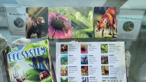 Cards depicting a bear, a meadow, a bee, and a fox are laid out on top of a glass display case. A scoring guide and part of a box that reads Ecosystem are also visible.