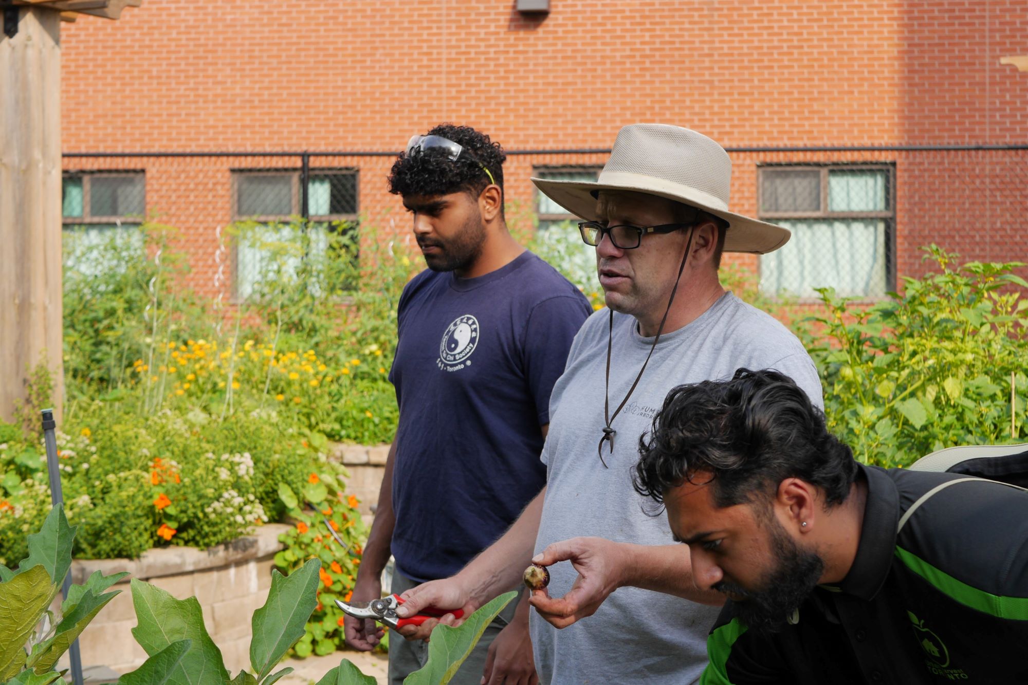 Three men stand outdoors in a garden discussing what's growing in front of them.  