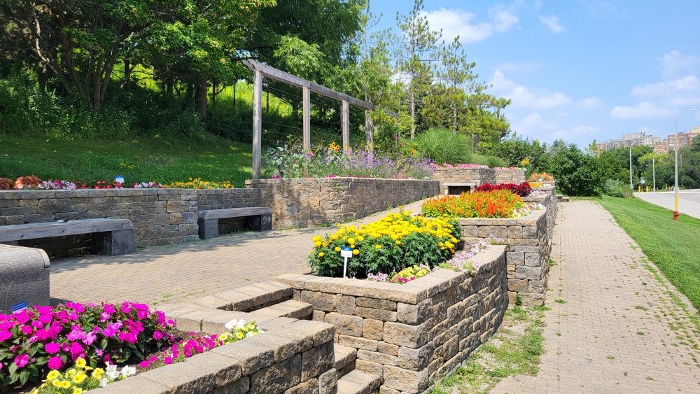 Flowers bloom in stone wall beds.