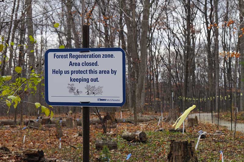 A sign on the edge of a trail reads "Forest Regeneration Zone.  Area Closed. Help us protect this area by keeping out."