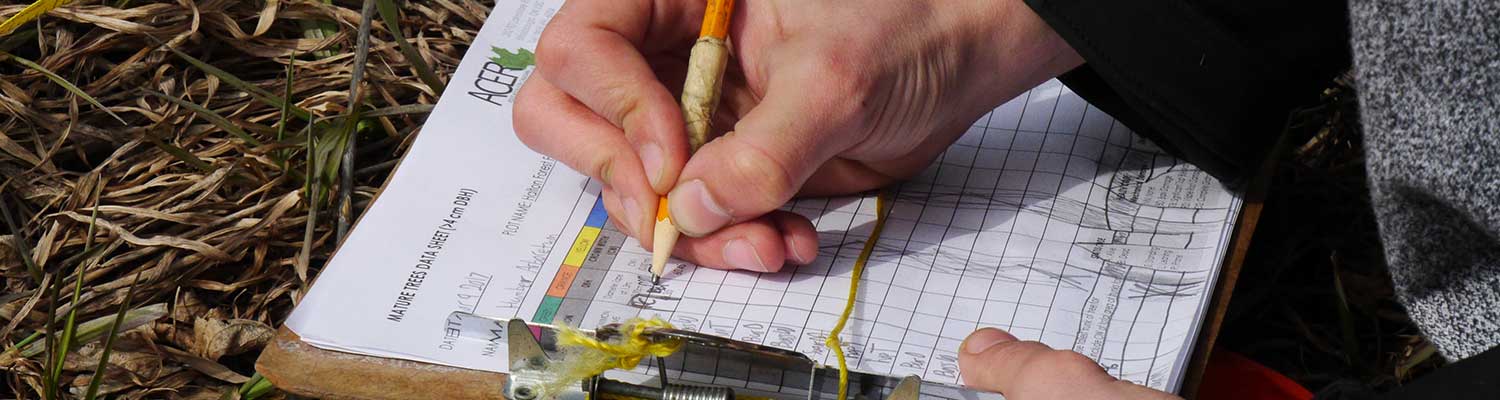 Outdoors, a pencil is used to record numbers on a clipboard.