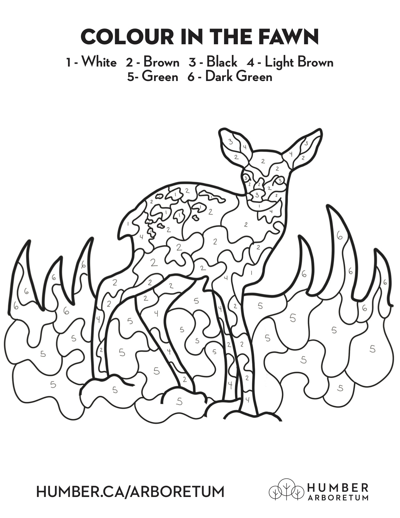 A fawn colour-by-number page