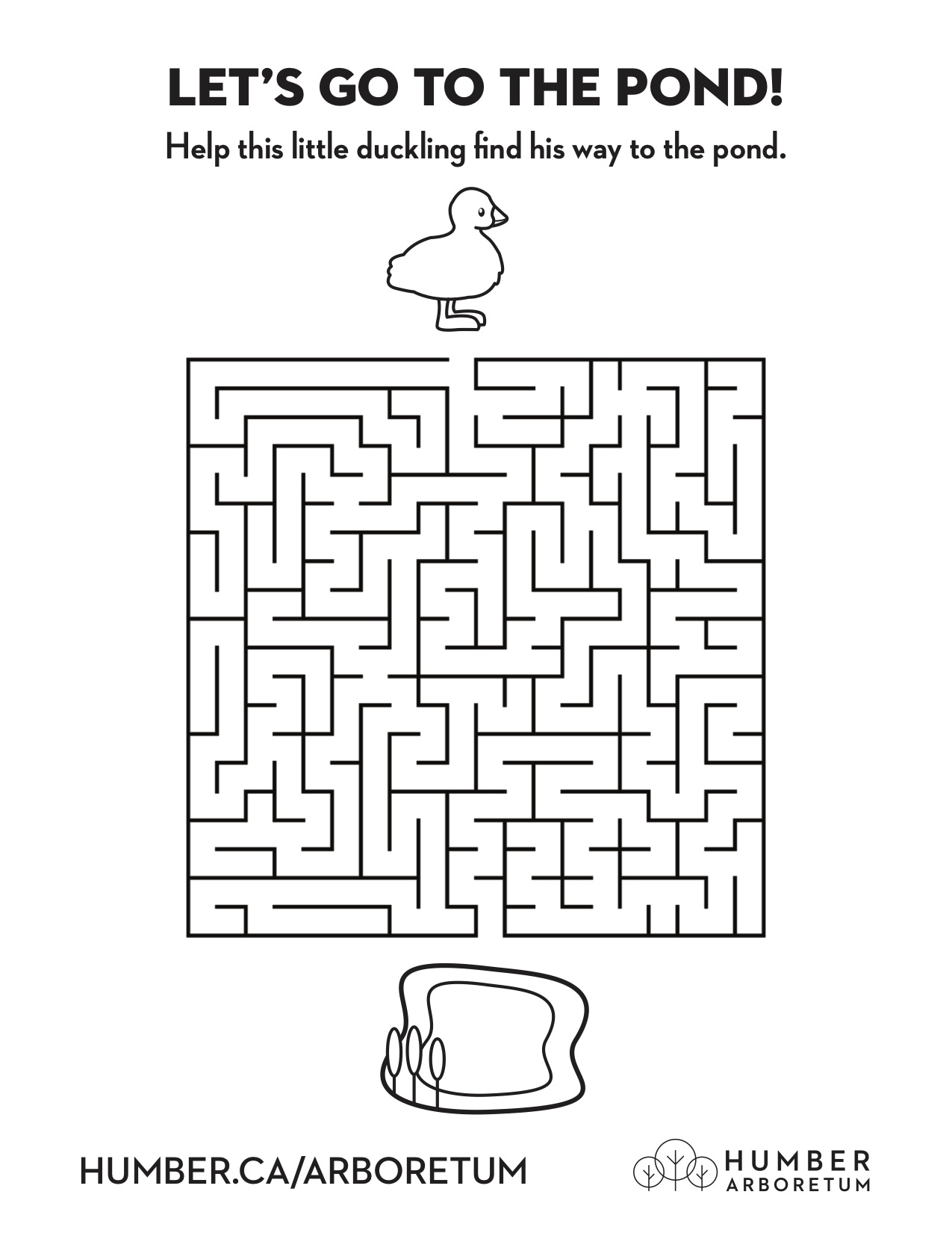 A maze with a duckling at the start and a pond at the finish