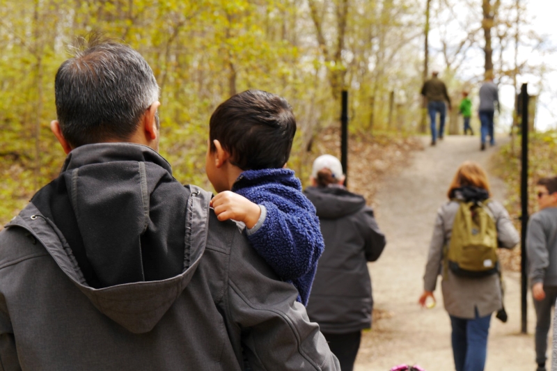 A father carries their child along a trail, the rest of the group visible walking through the forest up ahead.