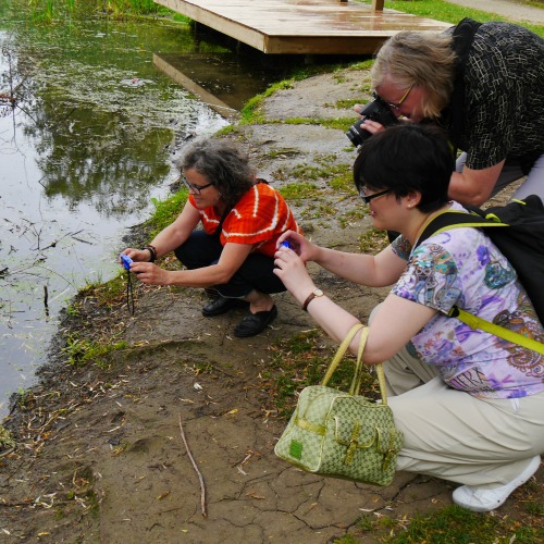 Three women crouch by the side of a pond taking photos with a variety of cameras