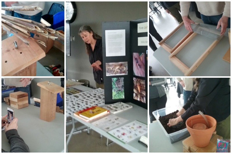 A collage shows hive types, bee hotels, and a display board with plants