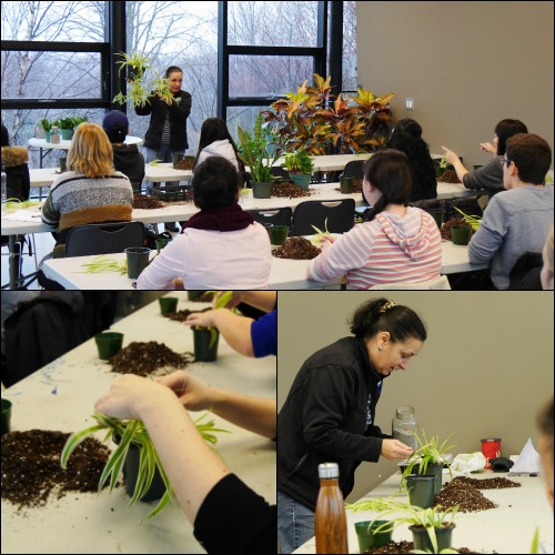 A collage of a presentation and people potting plants