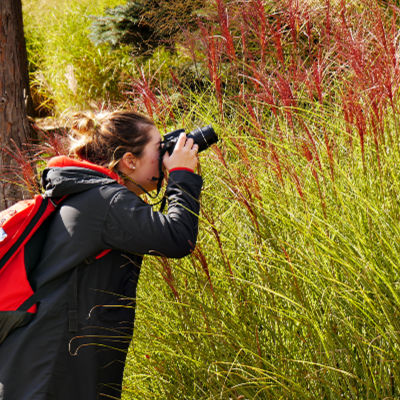 A student takes a photo of plants