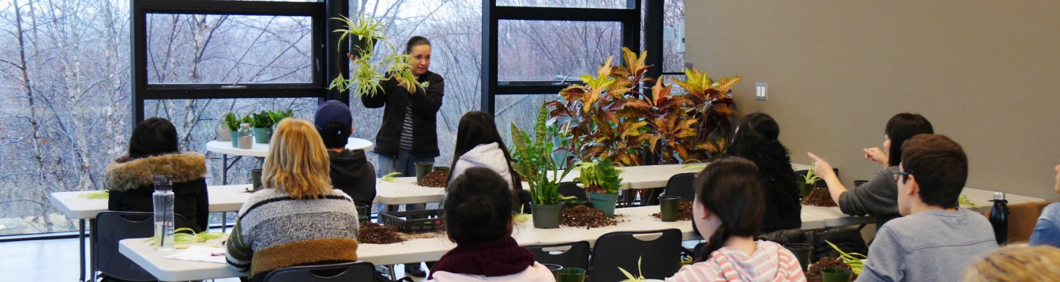Arboretum staff holds up a spider plant for a room of learners