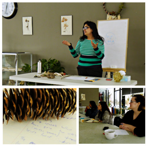 A collage of images show a young woman speaking to a group, three women listening, and a hand-written page next to a pinecone
