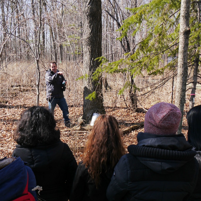 An instructor stands beside a maple tree while others listen