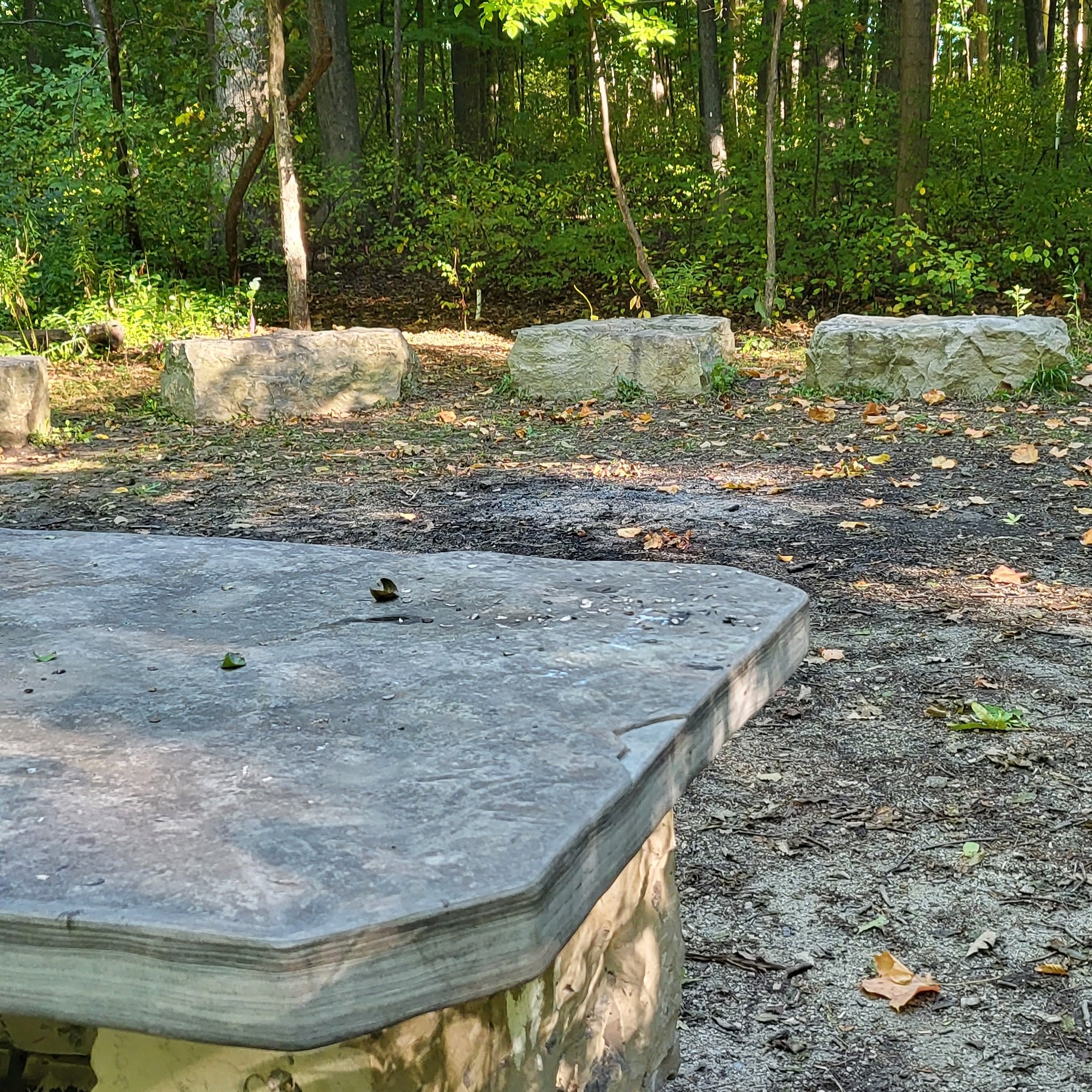 Stone seating surrounded by trees