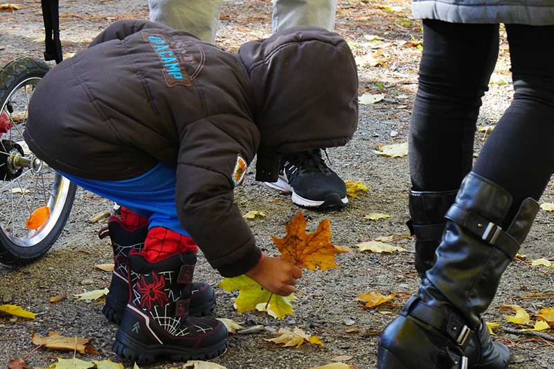 A boy bends down to pick up a leaf