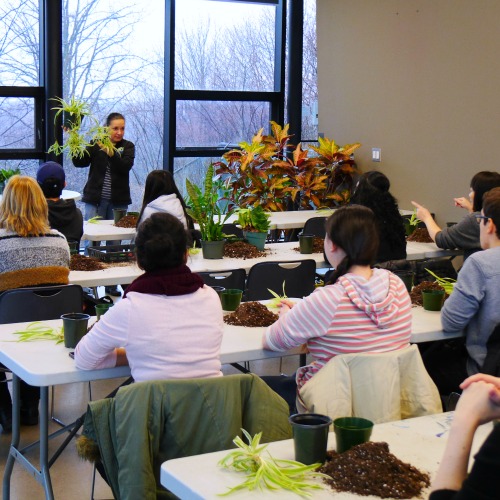 Students listen as a woman holds up a plant inside the Centre for Urban Ecology