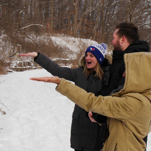 Dressed in winter clothes, staff stand in the snow with hands outstretched. A woman smiles widely at the chickadee who has perched in her hand.