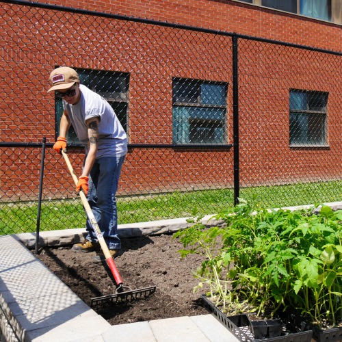 A young woman rakes the soil of a new garden bed