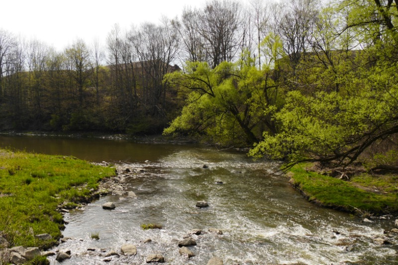 The Humber River flows between grassy and treed banks.