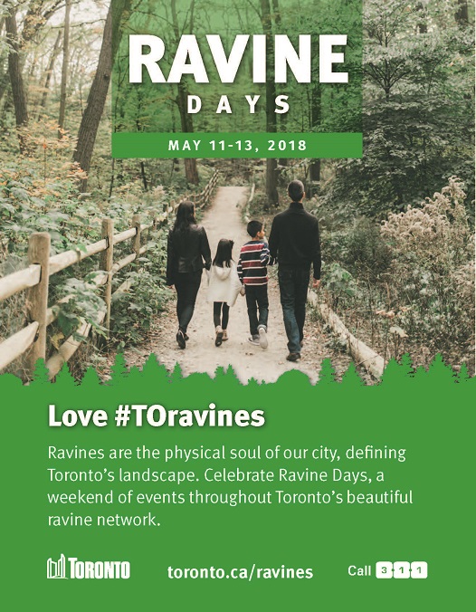 Ravine Days poster