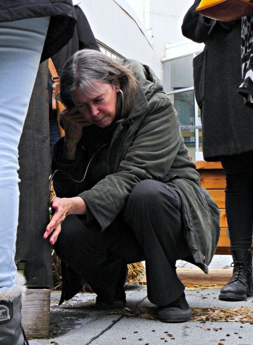 A woman in a winter coat crouches beside covers hives and listens to them with a stethoscope
