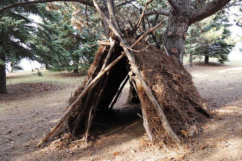 A natural shelter made from sticks and pine needles