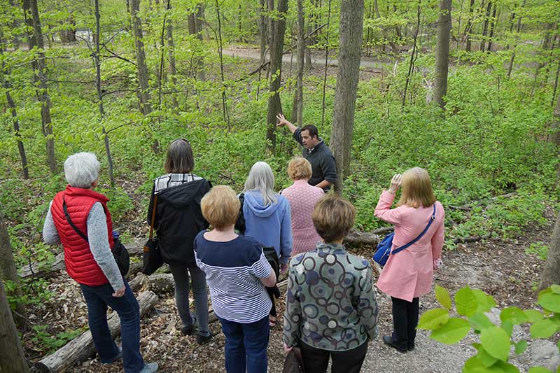 nature walk